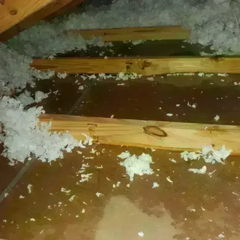 Attic Water Damage in Gordon County, GA