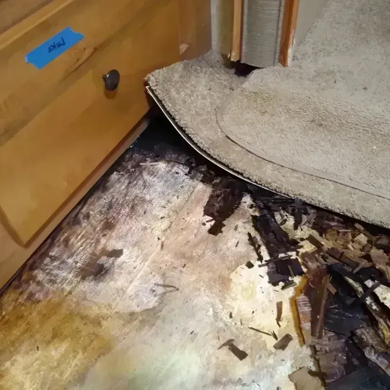 Wood Floor Water Damage in Gordon County, GA